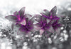 Fotomurale-Secret-of-the-Lily