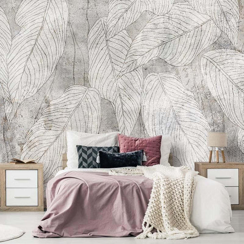 Product Image-0