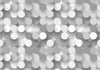 Fotomurale-Silver-Net
