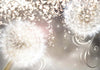 Fotomurale-Spellbound-dandelions