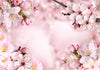 Fotomurale-Spring-Cherry-Blossom