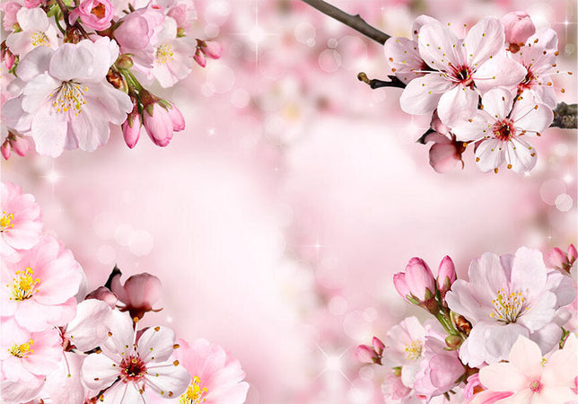 Fotomurale-Spring-Cherry-Blossom