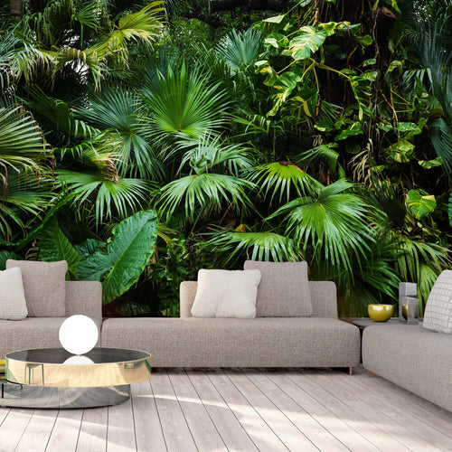 Fotomurale-Sunny-Jungle