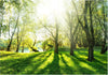 Fotomurale-Sunny-May-Day
