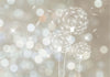 Fotomurale-The-Ballad-of-Beauty