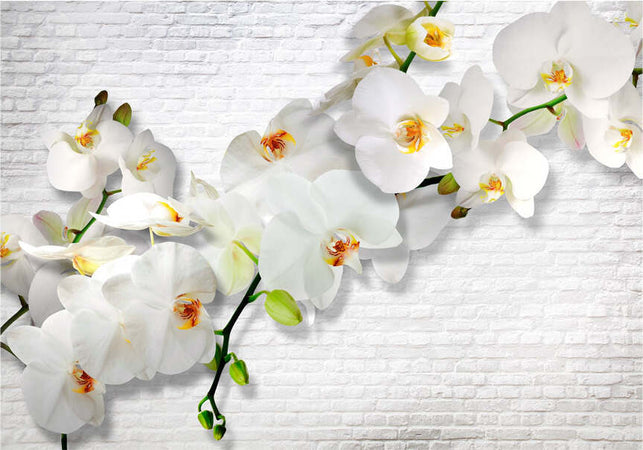 Fotomurale-The-Urban-Orchid