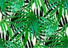Fotomurale-Tropical-Leaves