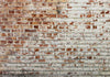 Fotomurale-Walls-of-Memory