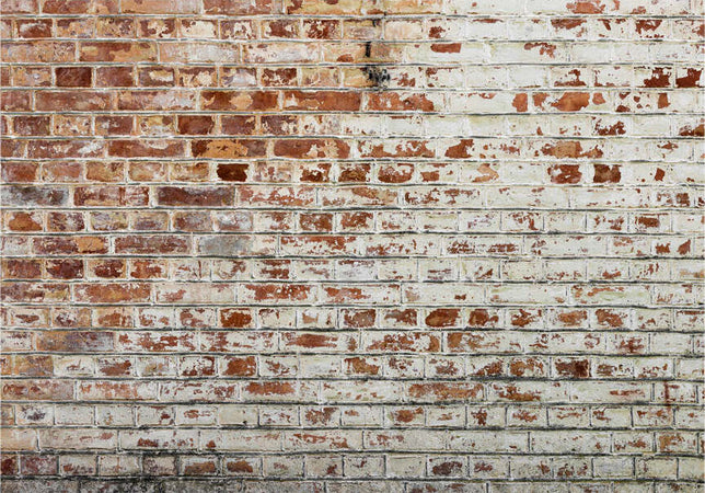 Fotomurale-Walls-of-Memory