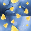 Foulard -Donna Fantasia  cod. 046 Cannadibambù