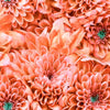 Foulard Donna Fantasia - cod. 230 Cannadibambù