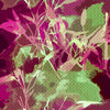 Foulard Donna Fantasia cod. 037 Cannadibambù