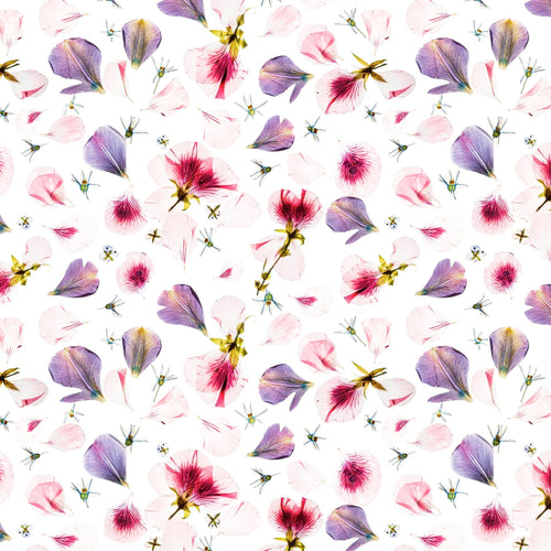 Foulard Donna Fantasia cod. 201 Cannadibambù