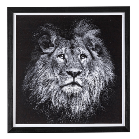 Quadro evidence 43 x 43, struttura in mdf. stampa su carta, con vetro