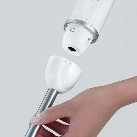 Frullatore ad Immersione 600 W in Acciaio Inossidabile