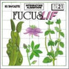 FUCUS-LIF-50-TAVOLETTE