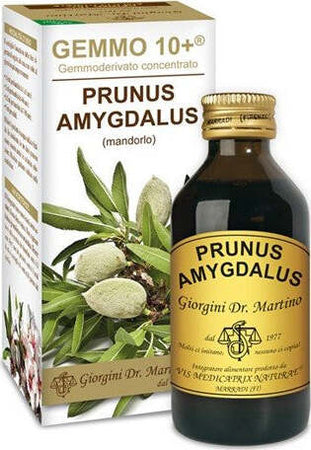 G10+-MANDORLO-LIQUIDO-ANALCOOLICO-100-ml-Dr.-Giorgini