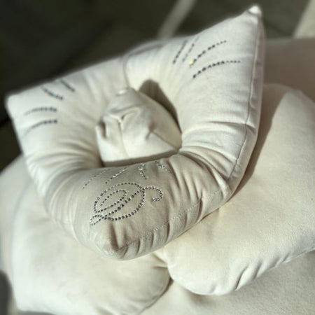 Cuscino Arredo Velluto 40x40 David Rosa con Cristalli