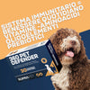 360-pet-1