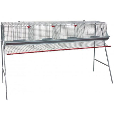 Gabbia zincata per galline ovaiole ad 1 piano con mangiatoia ed abbeveratoio