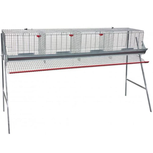 Gabbia zincata per galline ovaiole ad 1 piano con mangiatoia ed abbeveratoio