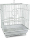 Gabbia Uccelli Di Piccole Dimensioni Kandy 49,5 X 34 X 27,5 Cm Due Mangiatoie Prodotti per animali > Altri Animali > Volatili > Gabbie per uccelli Trade Shop italia - Napoli, Commerciovirtuoso.it