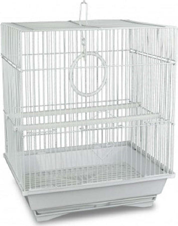 Gabbia Uccelli Di Piccole Dimensioni Kandy 49,5 X 34 X 27,5 Cm Due Mangiatoie Prodotti per animali > Altri Animali > Volatili > Gabbie per uccelli Trade Shop italia - Napoli, Commerciovirtuoso.it