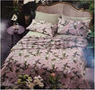 Gabel Alambra Set Di Lenzuola In Percalle Di Puro Cotone Linea Profumo Di Lavanda Matrimoniale Completo Lenzuolo Isabel (matrimoniale, Rosa) Casa e cucina/Tessili per la casa/Biancheria da letto/Lenzuola e federe/Set di lenzuola e federe Biancheria Arredo Home - Nola, Commerciovirtuoso.it