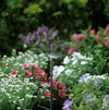 GARDENA---MICROSPRUZZO-360°-MICRO-DRIP-SYSTEM-ART.1365-29