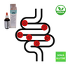 Scen-Fitocomplesso con estratti di Garofano-Noce-Assenzio per la parassitosi intestinale, senza alcool, preparazione spagirica