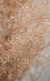 GECKOS--GLITTER-IDROPITTURA-DECORATIVA-EFFETTO-LUCCICANTE-BASE-ORO-2-LT-VERDE-BOTANICO-N-5