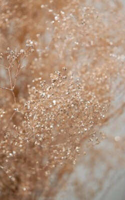 GECKOS--GLITTER-IDROPITTURA-DECORATIVA-EFFETTO-LUCCICANTE-BASE-ORO-2-LT-VERDE-BOTANICO-N-5