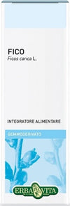 Gemmoderivato-Fico-50-ml-Erba-Vita