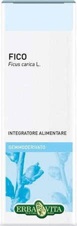 Gemmoderivato-Fico-50-ml-Erba-Vita