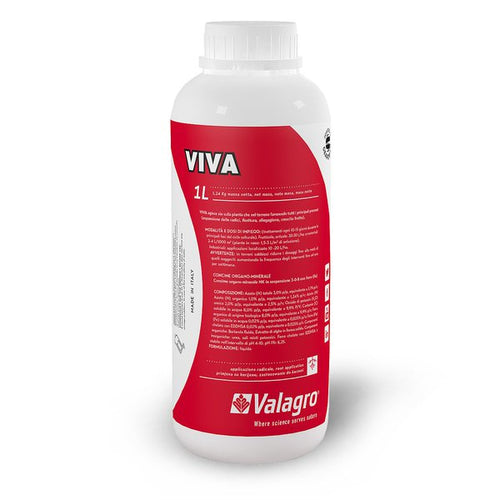 Viva Lt.1
