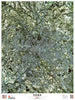 GEOGRAMMA---MAPPA-ROMA-DAL-SATELLITE-CARTA-SATELLITARE-100X70-CM-scala-1:32.000