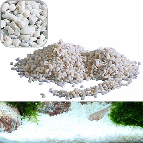 GHIAIA NOA MEDIA DECORATIVA PER ACQUARIO ACQUARI KG. 2.0 RIVER ROCKS PER FONDALE Prodotti per animali domestici/Pesci e animali d'acqua/Arredo per acquario/Ciottoli decorativi Trade Shop italia - Napoli, Commerciovirtuoso.it