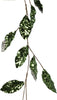 Ghirlanda natalizia verde metallico con glitter, decorazione per interno, da 120 cm Casa e cucina/Decorazioni per interni/Addobbi e decorazioni per ricorrenze/Decorazioni natalizie/Orpelli e festoni MagiediNatale.it - Altamura, Commerciovirtuoso.it