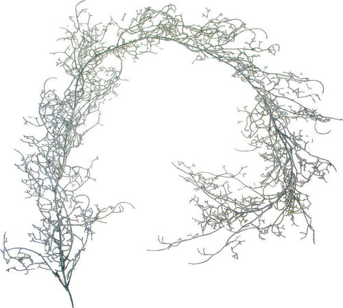 Ghirlanda Tillandsia con Glitter corona natalizia, dietro porta da 170 cm Casa e cucina/Decorazioni per interni/Addobbi e decorazioni per ricorrenze/Decorazioni natalizie/Orpelli e festoni MagiediNatale.it - Altamura, Commerciovirtuoso.it