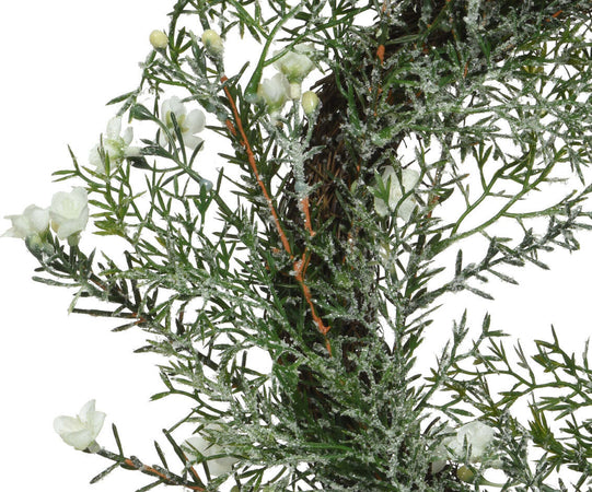 Ghirlanda tonda natalizia congelata color Verde, dietro porta da 40 cm Casa e cucina/Decorazioni per interni/Addobbi e decorazioni per ricorrenze/Decorazioni natalizie/Orpelli e festoni MagiediNatale.it - Altamura, Commerciovirtuoso.it