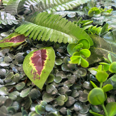 Pannelli Verde Verticale 50×50 cm Ultra-realistici e folti, per interno/esterno GIARDINO BOTANICO - Eternal Parquet