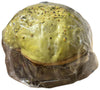 Panettone Artigianale con Crema di Pistacchio da 750gr