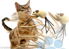 Gioco-Con-Pupazzo-Topo-Palestra-Per-Gatto-Unghie-Tiragraffi-Base-Molla