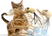Gioco-Con-Pupazzo-Topo-Palestra-Per-Gatto-Unghie-Tiragraffi-Base-Molla