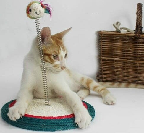 GIOCO CON PUPAZZO TOPOLINO PALESTRA PER GATTO UNGHIE TIRAGRAFFI BASE MOLLA  Trade Shop italia - Napoli, Commerciovirtuoso.it