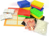 Gioco da tavolo tombola magica, cartelle con segnalini scorrevoli e numeri in legno Giochi e giocattoli/Giochi da tavola di società e accessori/Giochi da tavolo/Giochi di società MagiediNatale.it - Altamura, Commerciovirtuoso.it
