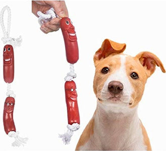 Gioco Fune Corda 2 Salsicce Con Faccine Per Cane Giocattolo Gatto Masticare Denti Prodotti per animali > Prodotti per Cani > Giocattoli Trade Shop italia - Napoli, Commerciovirtuoso.it