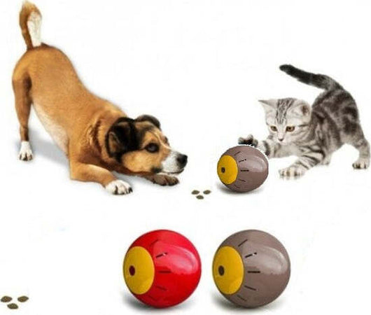Gioco Intelligente Per Animali Snack Ball Con Apertura Per Croccantini Prodotti per animali domestici/Gatti/Giocattoli/Palle Trade Shop italia - Napoli, Commerciovirtuoso.it