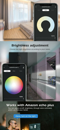 Gledopto RGB CCT striscia LED controller wifi GL-C-008 vocale/controllo WIFI DC 12-24 V Illuminazione/Strisce LED Zencoccostore - Formia, Commerciovirtuoso.it