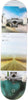 GLOBE-Skateboard-Assemblato-Uomo-G2-Sprawl-Disappearing-Trees-da-uomo